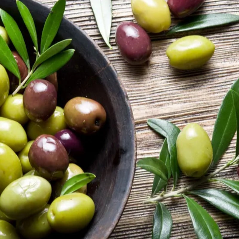 Antipasti olives vertes